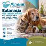 Eutanasia en mascotas: una decisión difícil que también puede ser un acto de amor