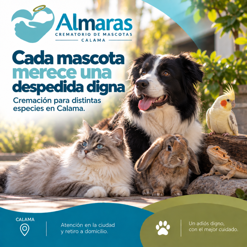 Cada mascota merece una despedida digna